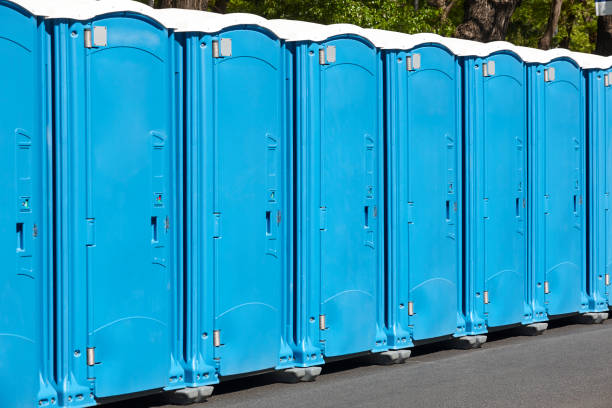 Best Standard Portable Toilet Rental in Dunkirk, NY